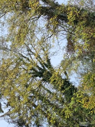  Terrain � vendre 703 m�