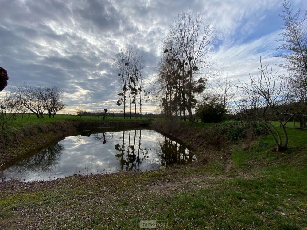 vente Terrain - 4000 m² Buzançais (36500)