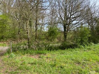  Terrain � vendre 2733 m�