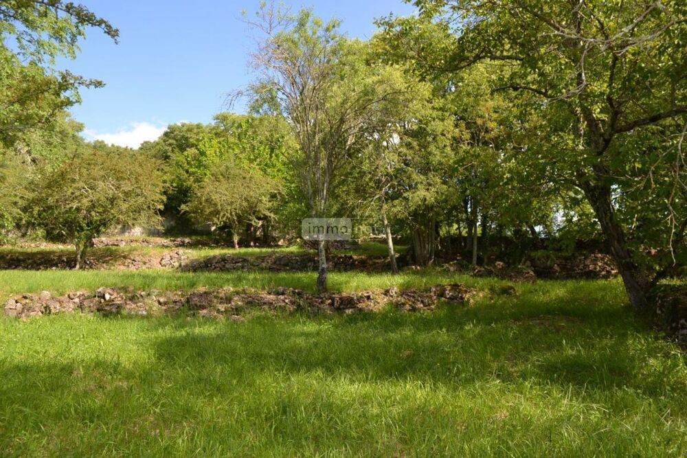 vente Terrain - 1583 m� Montr�al (07110)