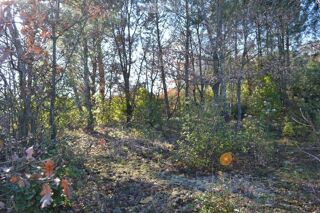  Terrain � vendre 1239 m�