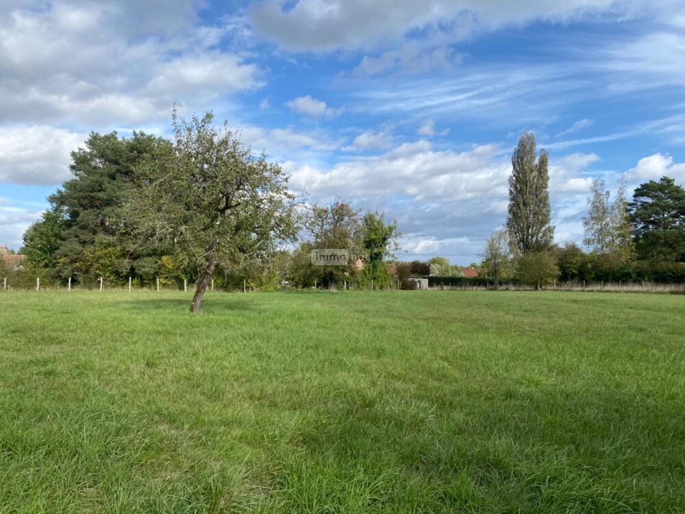 vente Terrain - 2119 m² Vendœuvres (36500)