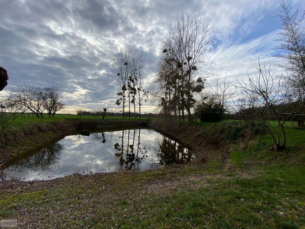 vente Terrain - 4000 m² Buzançais (36500)
