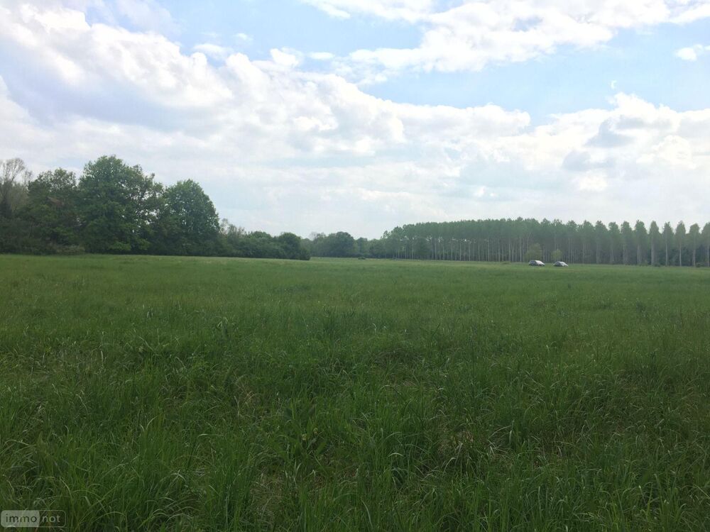 vente Terrain - 7728 m² Buzançais (36500)