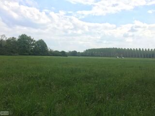 vente Terrain - 7728 m² Buzançais (36500)