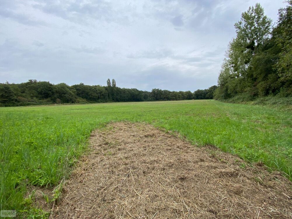 vente Terrain - 1621779 m² Martizay (36220)