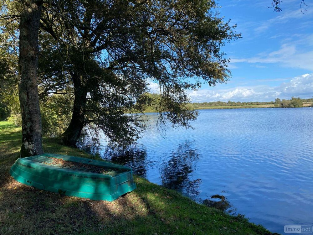 vente Autres - 74940 m² Migné (36800)