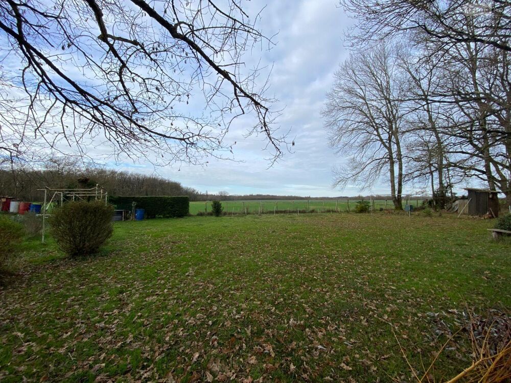 vente Terrain - 4000 m² Buzançais (36500)