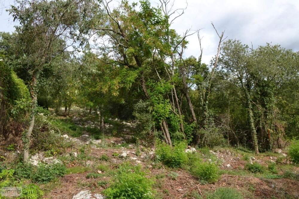 vente Terrain - 1293 m� Chauzon (07120)