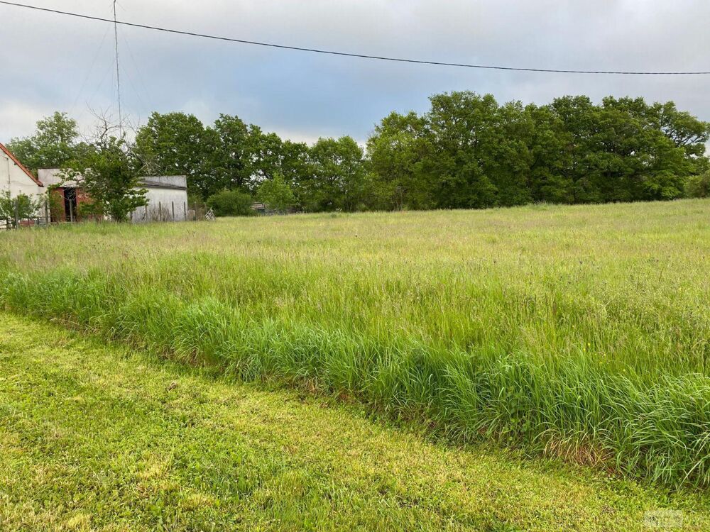 vente Terrain - 1046 m² Méobecq (36500)