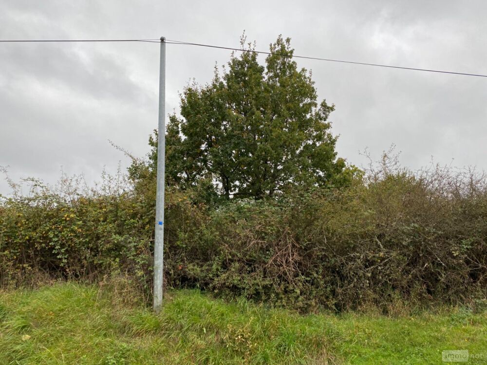 vente Terrain - 1435 m² Paulnay (36290)
