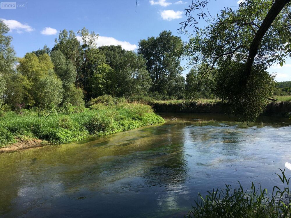 vente Terrain - 14778 m² Buzançais (36500)