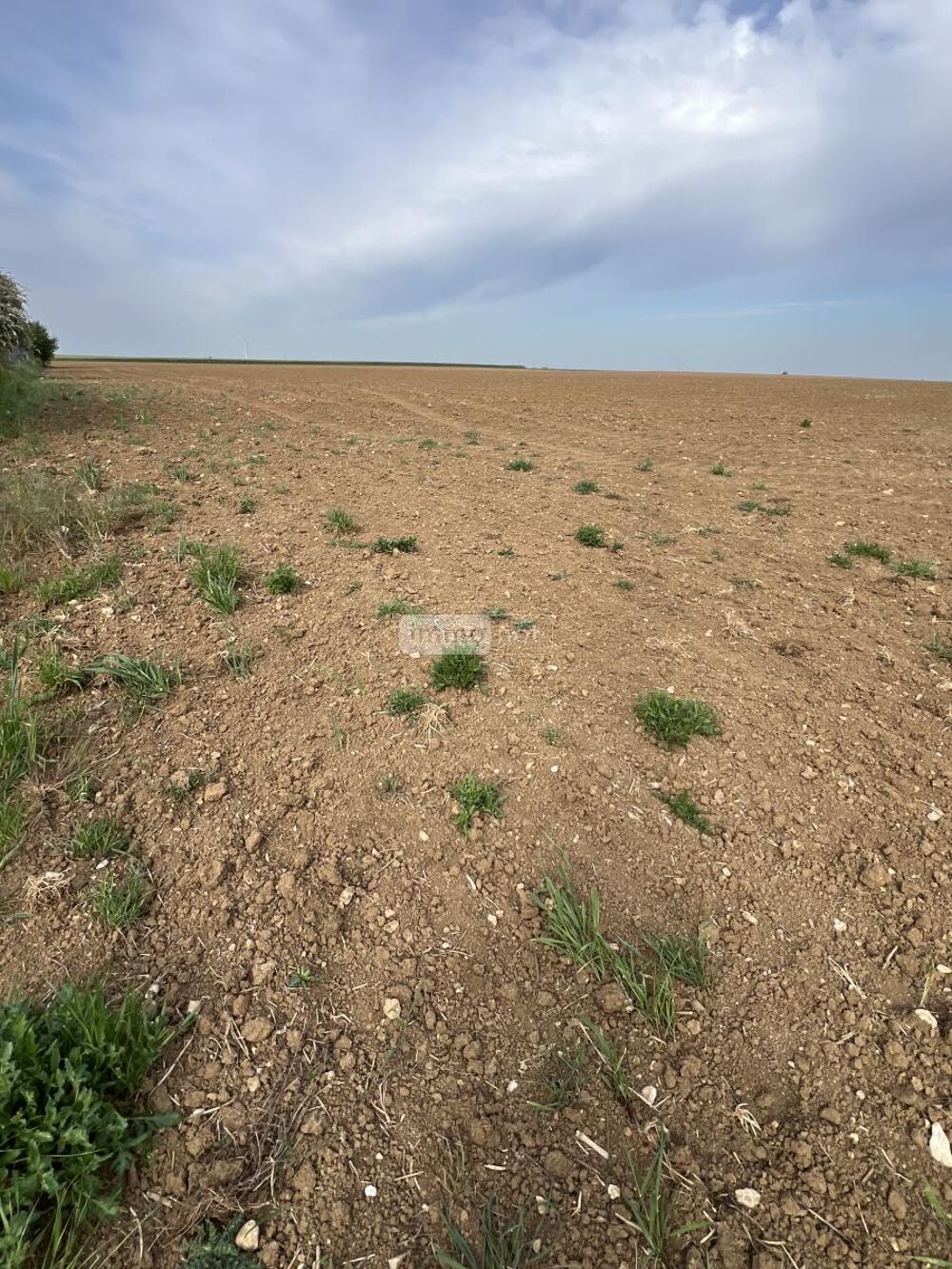 vente Terrain - 1104 m² Binas (41240)