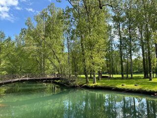  Propriété/château à vendre 11 pièces 250 m²