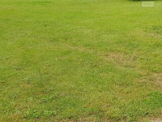  Terrain  vendre 500 m