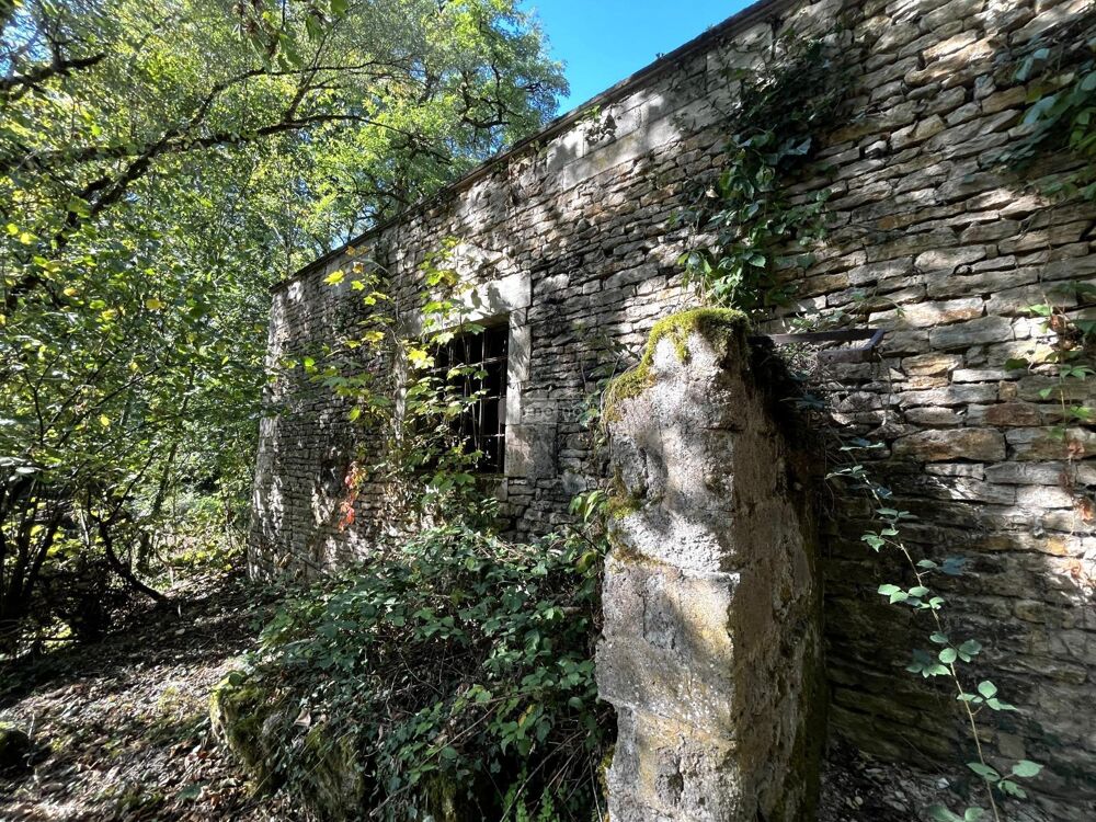 vente Propriété/château - 11 pièce(s) - 300 m² Coublanc (52500)