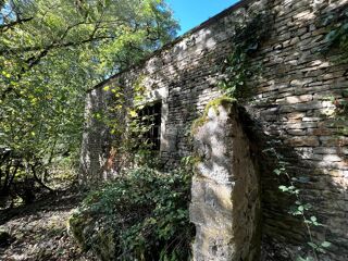  Propriété/château à vendre 11 pièces 300 m²