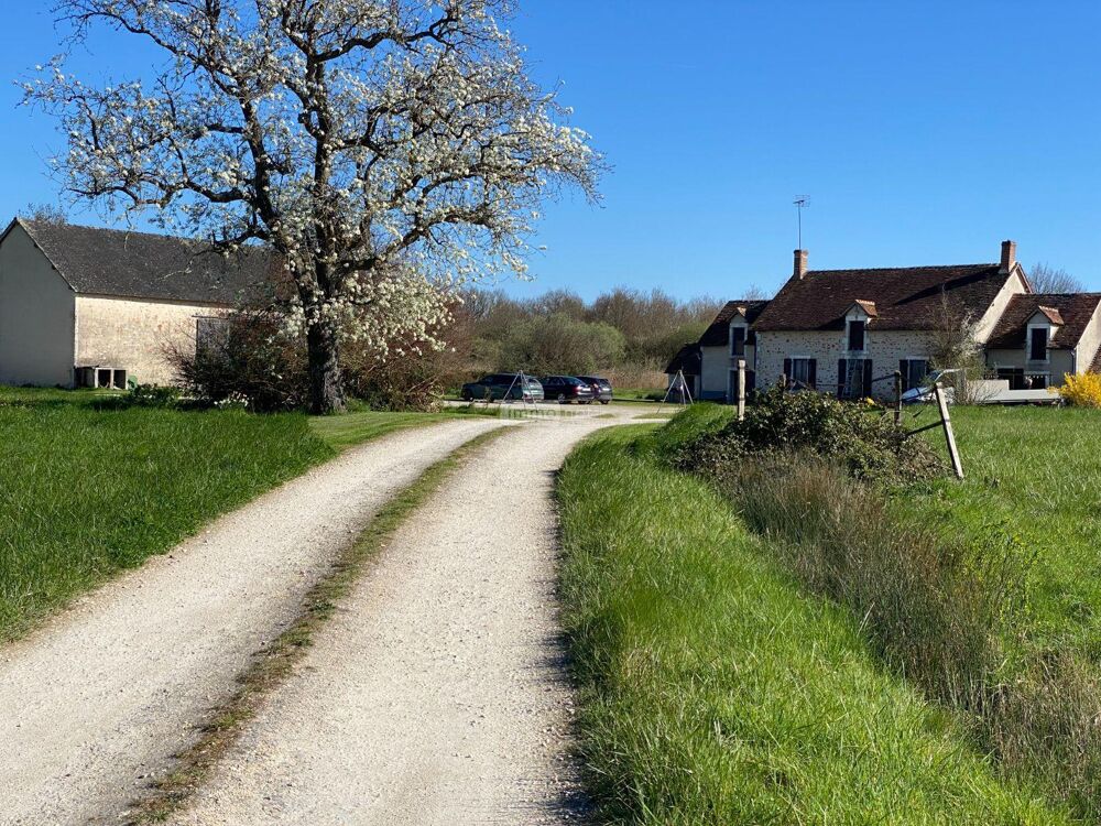 � vendre  Propri�t�/ch�teau Ling� (36220)