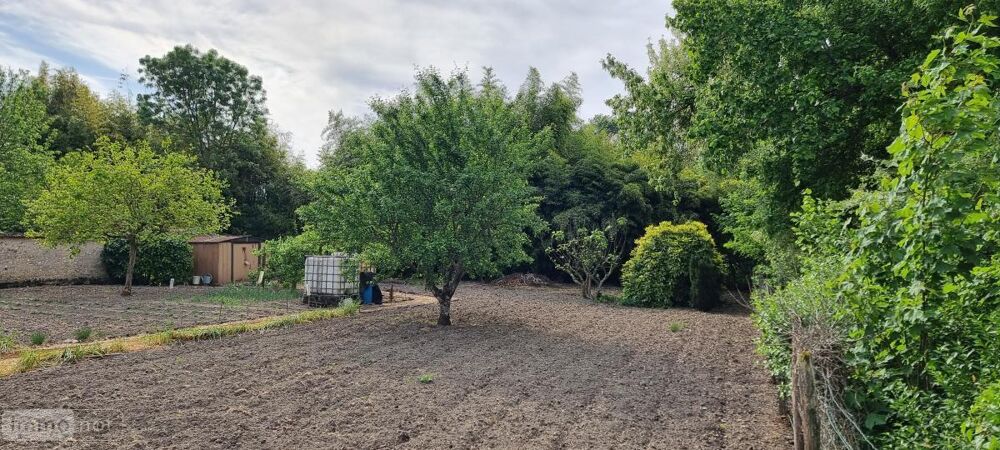vente Terrain - 840 m² Cerelles (37390)