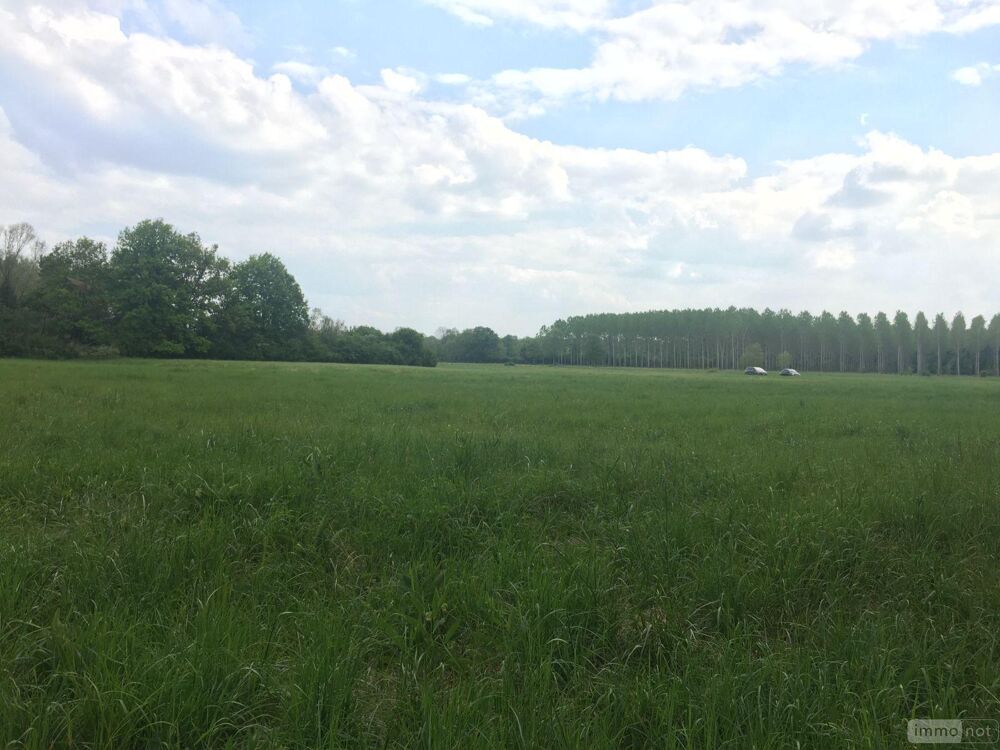 vente Terrain - 7728 m² Buzançais (36500)