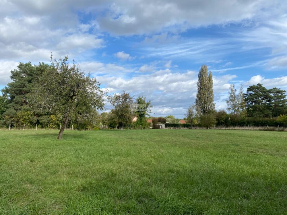 vente Terrain - 2354 m² Vendœuvres (36500)