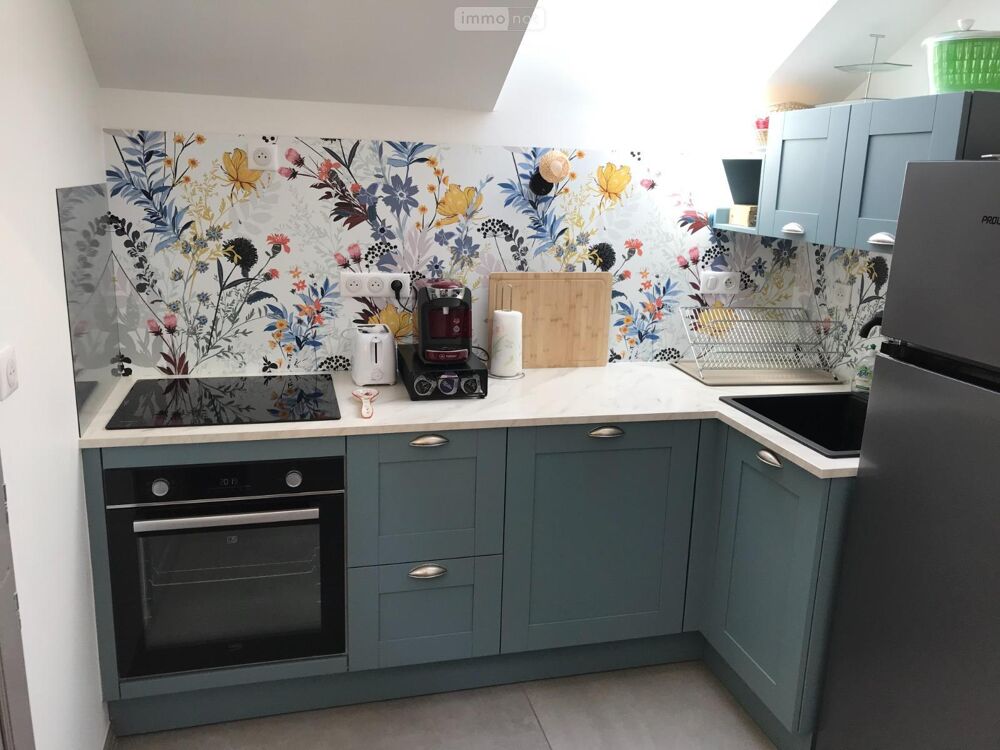  vendre  Proprit/chteau Athe-sur-Cher (37270)