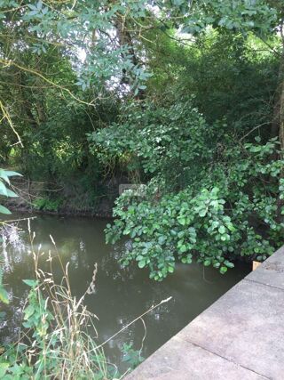  Terrain  vendre 18480 m