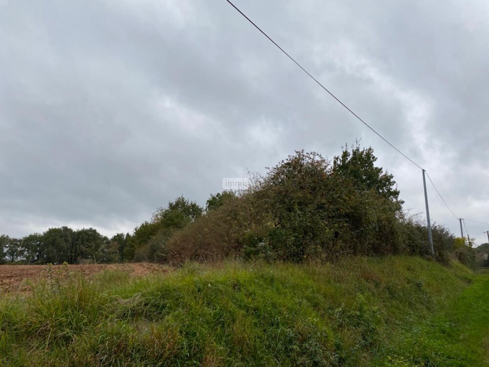 vente Terrain - 1435 m² Paulnay (36290)
