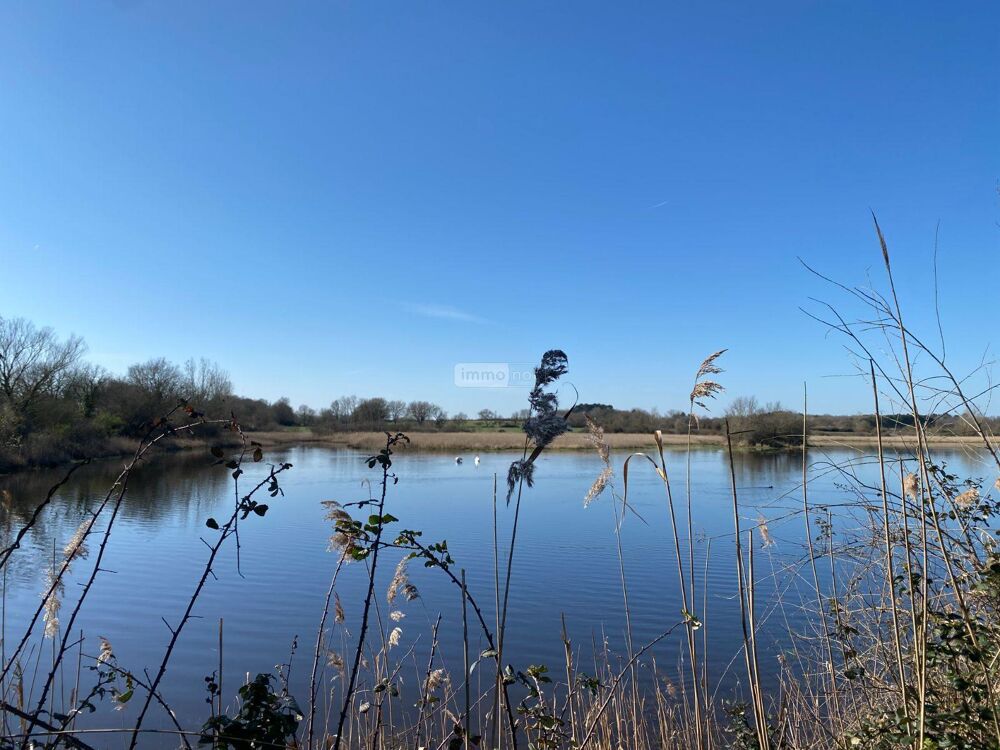 vente Autres - 139626 m² Lingé (36220)