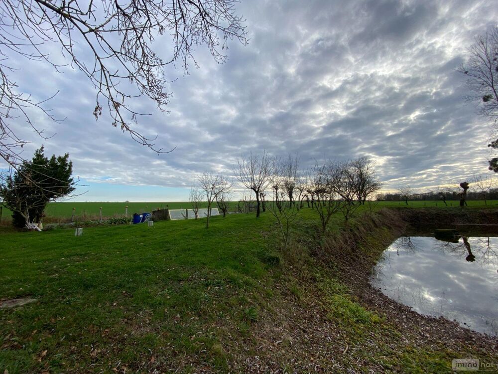 vente Terrain - 4000 m² Buzançais (36500)