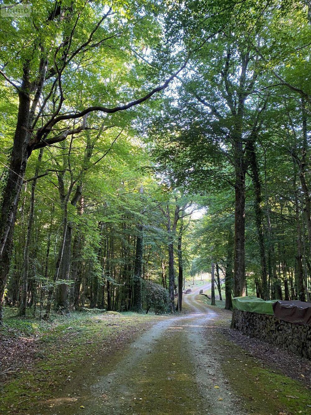 � vendre  Maison Ch�tillon-sur-Indre (36700)