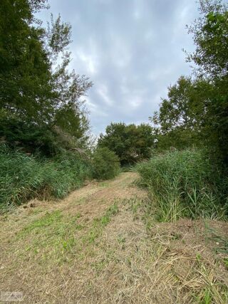  Terrain à vendre 1621779 m²