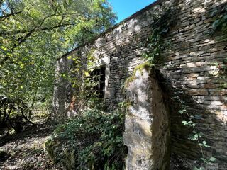  Propriété/château à vendre 11 pièces 300 m²