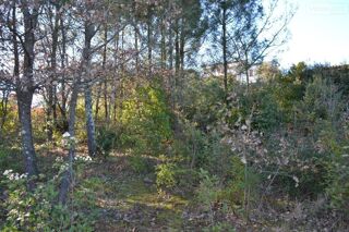  Terrain � vendre 1239 m�