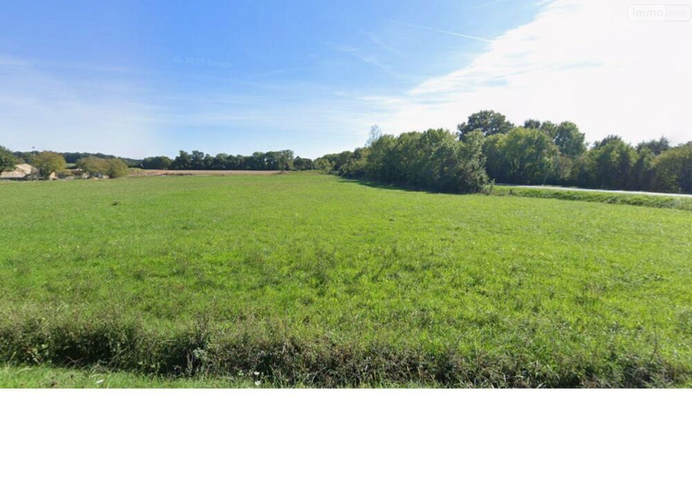 vente Terrain - 13745 m² Paulnay (36290)