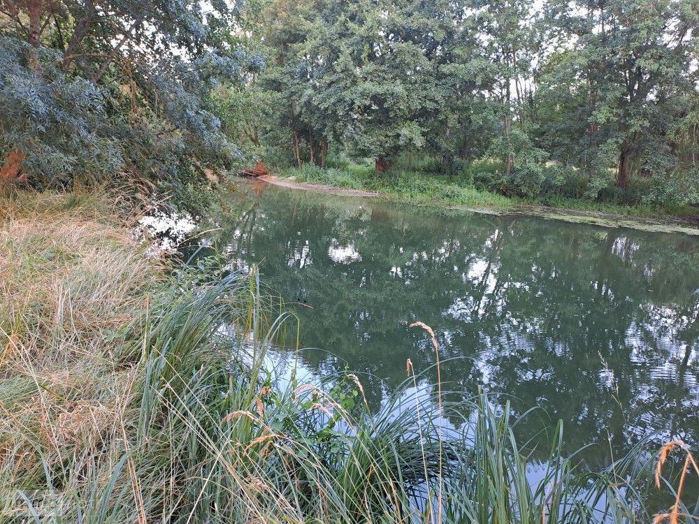 vente Terrain - 20542 m² Le Tranger (36700)