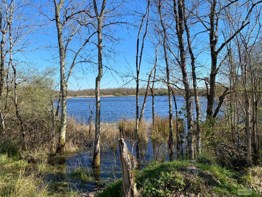 � vendre  Propri�t�/ch�teau Ling� (36220)