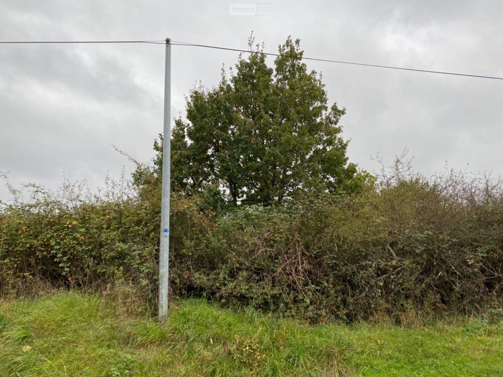 vente Terrain - 1435 m² Paulnay (36290)