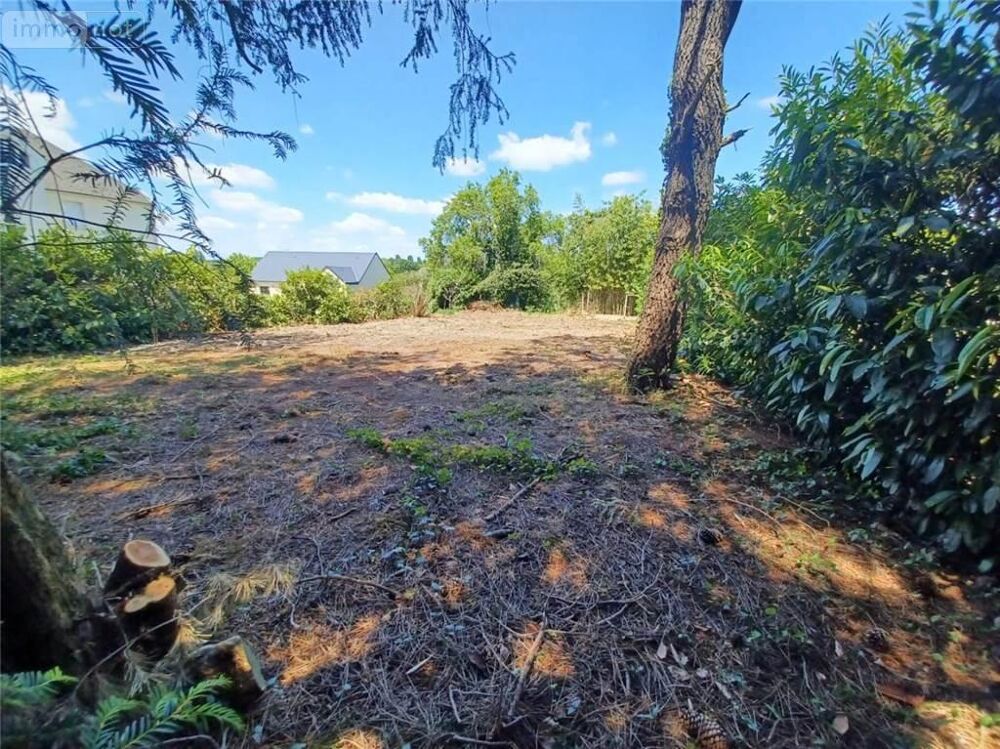 vente Terrain - 709 m² Monts (37260)