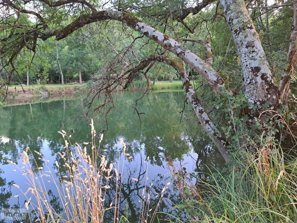 vente Terrain - 20542 m² Le Tranger (36700)