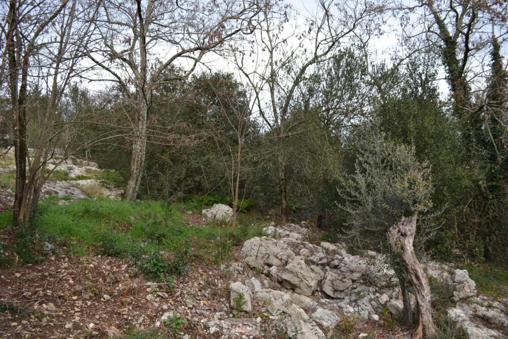 vente Terrain - 1759 m� Chauzon (07120)