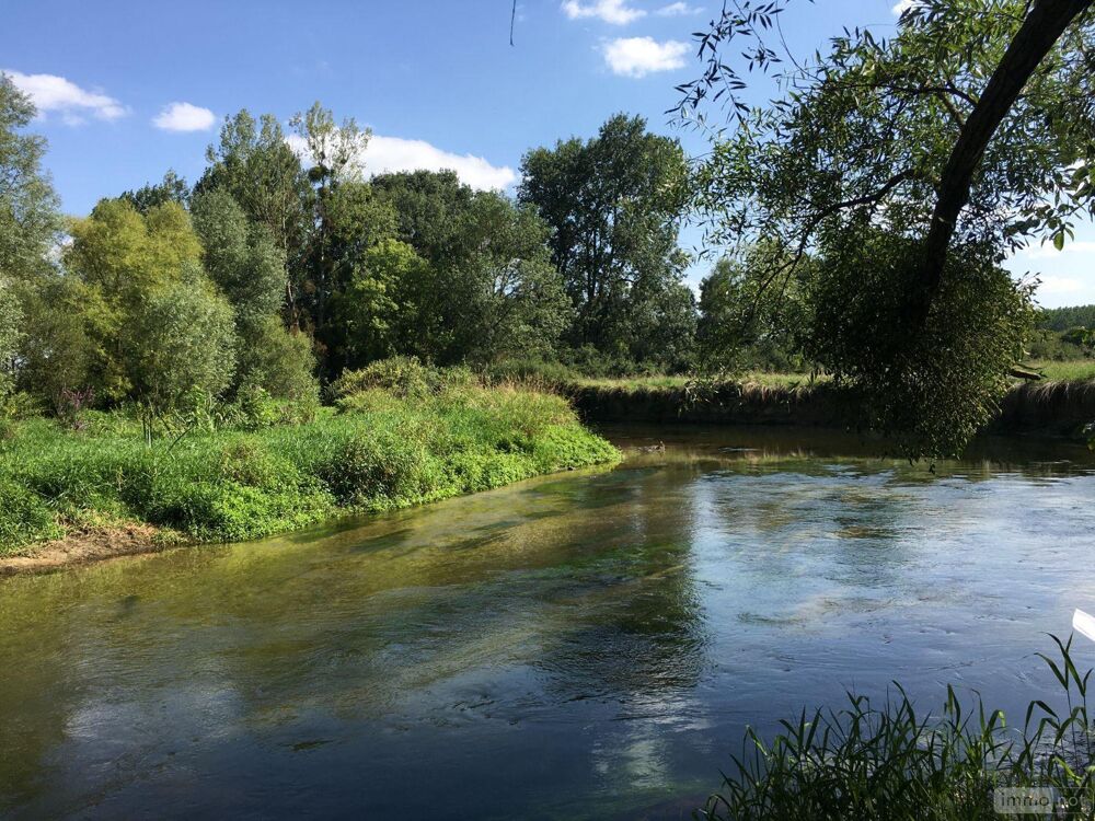 vente Terrain - 7728 m² Buzançais (36500)
