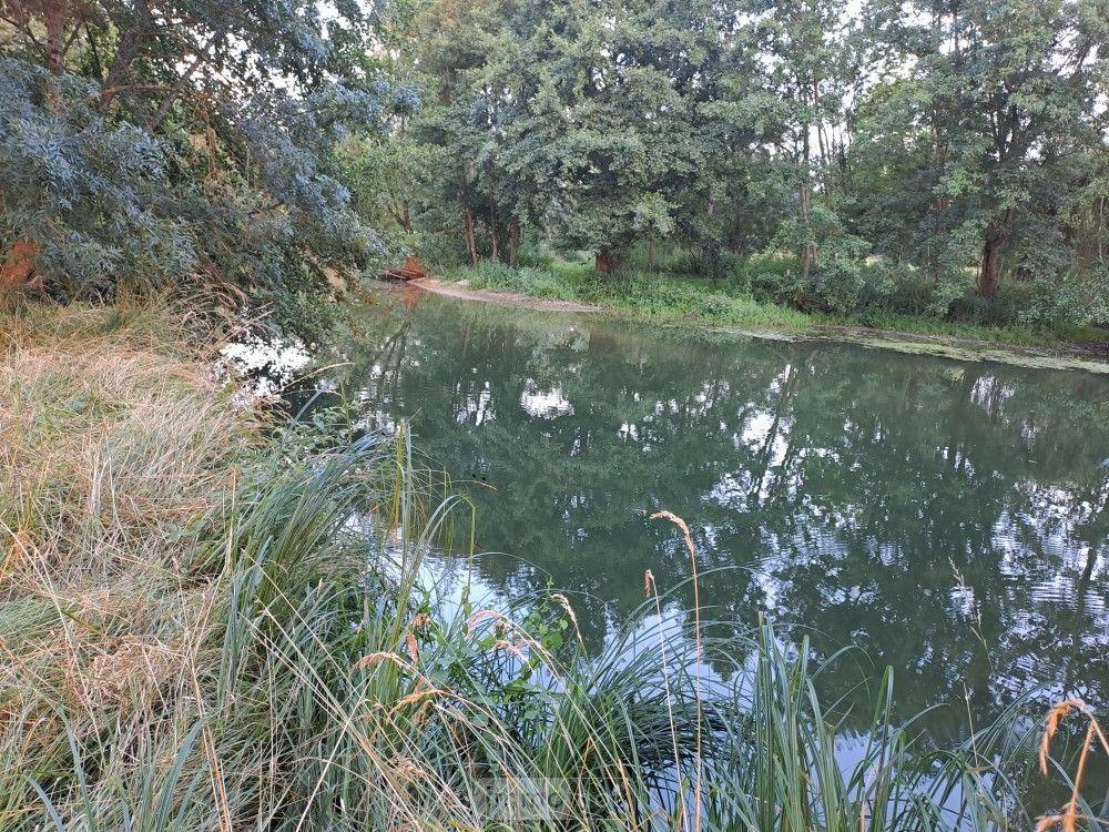 vente Terrain - 20542 m² Le Tranger (36700)