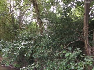  Terrain  vendre 18480 m