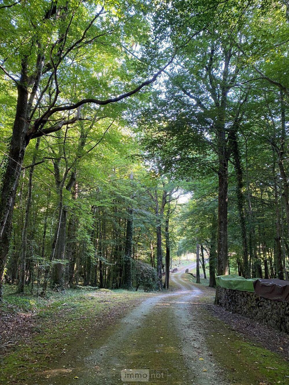 Dans l''Indre secteur Boischaud Nord, Proche de Châtillo....