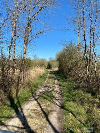  Propri�t�/ch�teau � vendre 4 pi�ces 133 m�