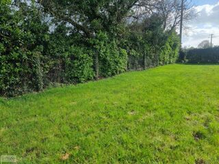  Terrain à vendre 560 m²