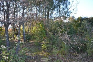  Terrain à vendre 1239 m²