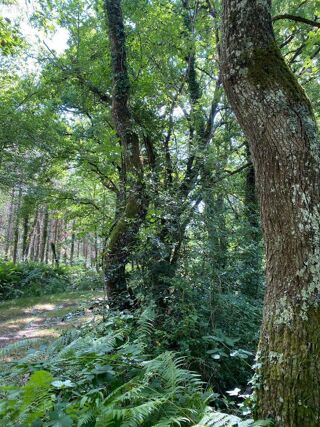  Maison � vendre 9 pi�ces 258 m�