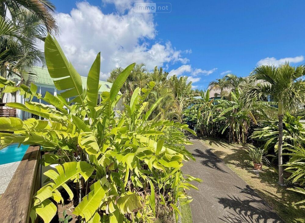 vente Maison - 5 pièce(s) - 129 m² Saint-Paul (97460)
